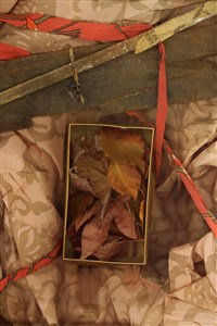 Image description is not available for 2024.019